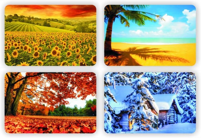 Las cuatro estaciones de Brasil: primavera, verano, otoño e invierno