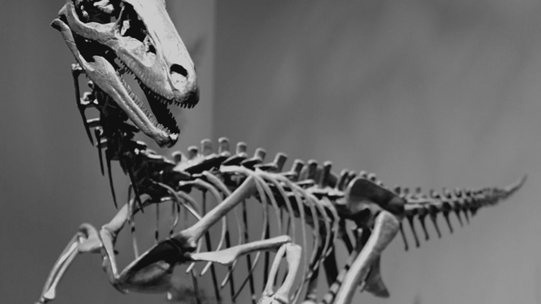  Troodon: el dinosaurio más inteligente de la historia