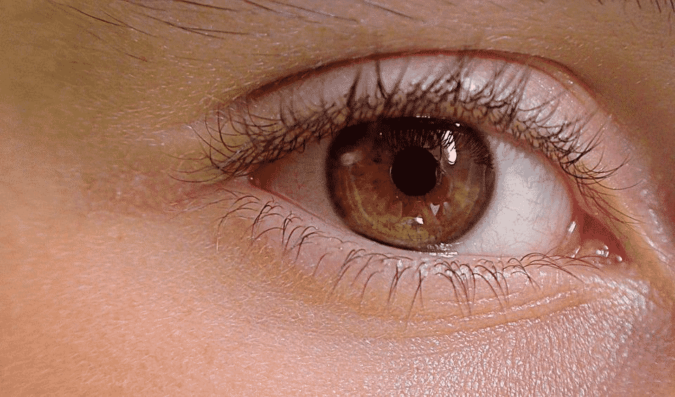  10 продуктов, которые изменяют цвет глаз естественным образом