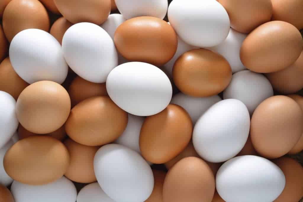  ماذا يحدث إذا أكلت بياض البيض لمدة أسبوع؟