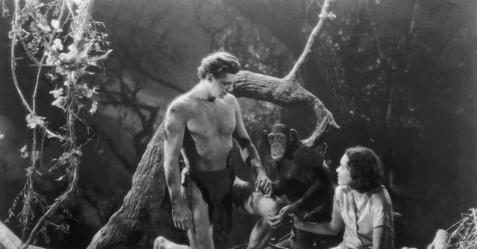  Tarzan - Origine, adaptation et controverses liées au Roi de la jungle